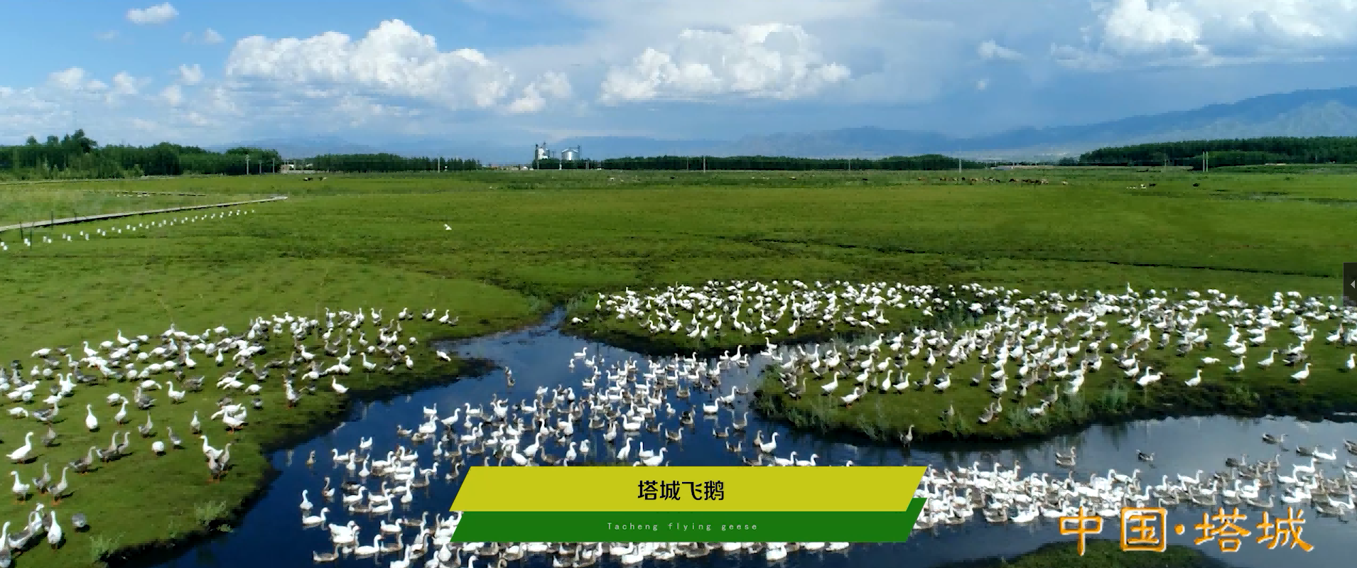 &#24320;&#20113;&#40;&#20013;&#22269;&#41;&#75;&#97;&#105;&#121;&#117;&#110;