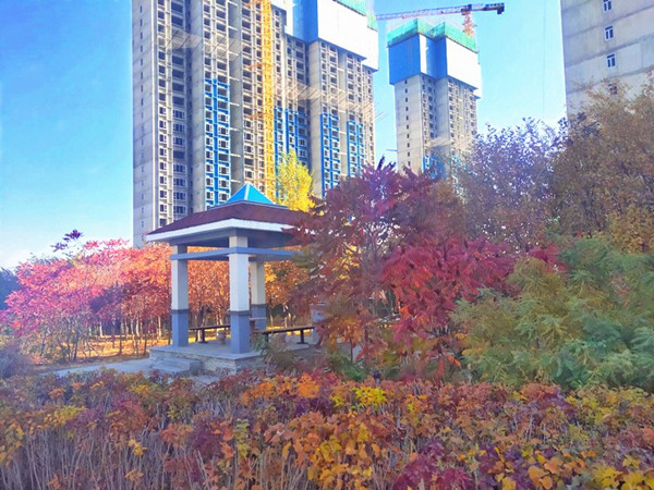 &#24320;&#20113;&#40;&#20013;&#22269;&#41;&#75;&#97;&#105;&#121;&#117;&#110;
